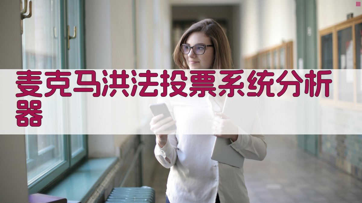 麦克马洪法投票系统分析器