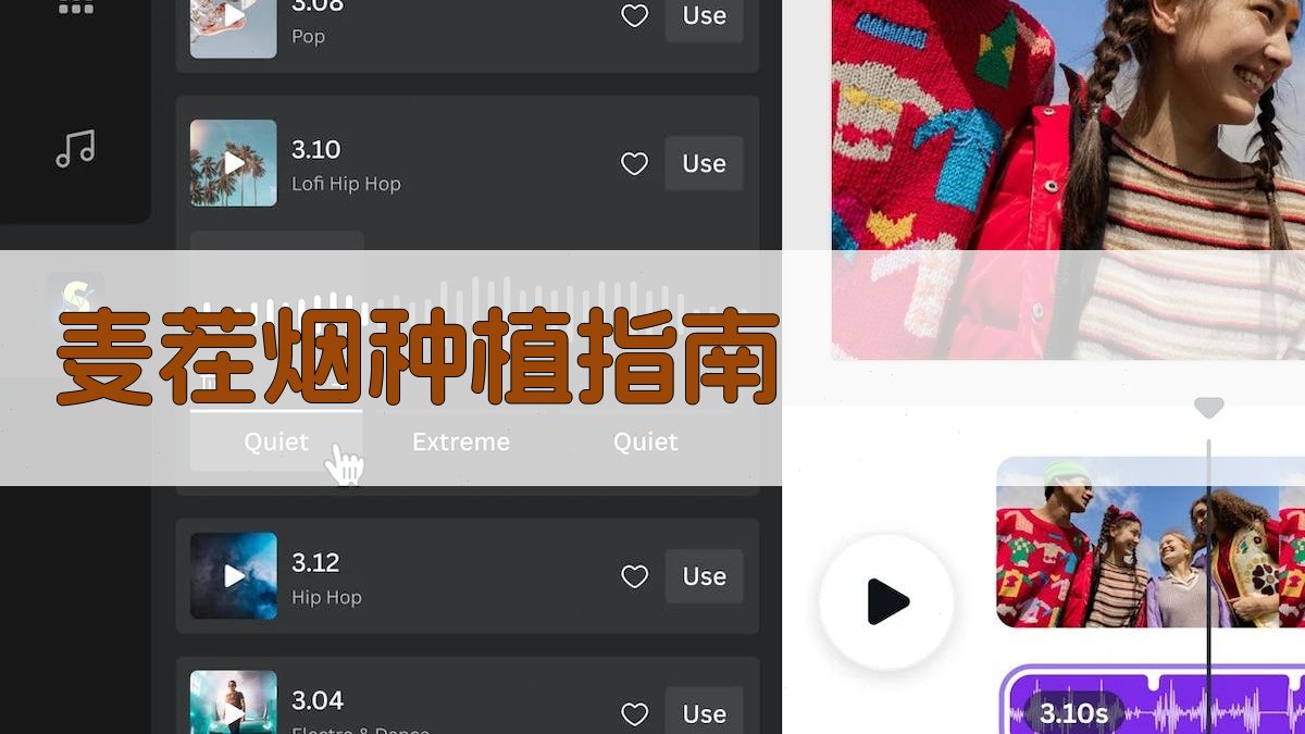 AI麦茬烟种植指南生成器