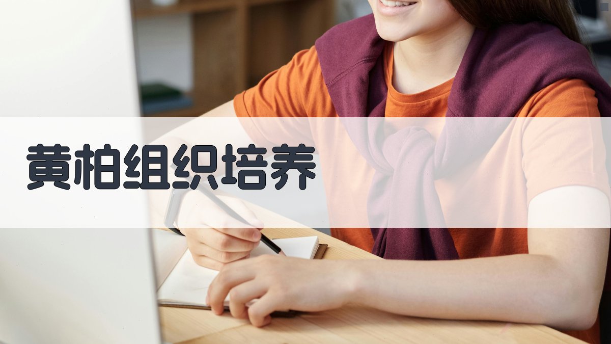 黄柏组织培养研究助手