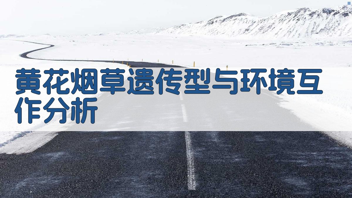 黄花烟草遗传型与环境互作分析