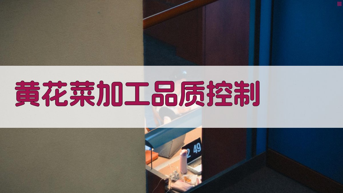 AI黄花菜加工品质控制助手