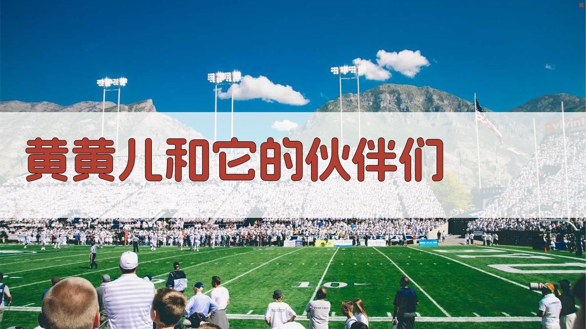 《黄黄儿和它的伙伴们》阅读分析