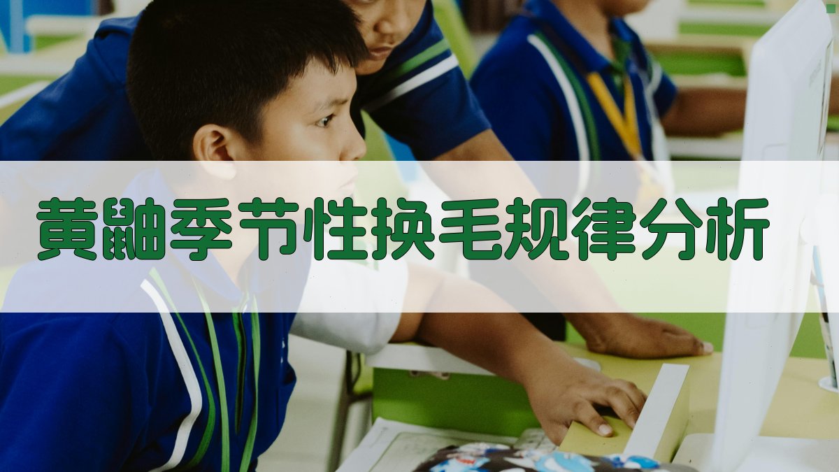 黄鼬季节性换毛规律分析