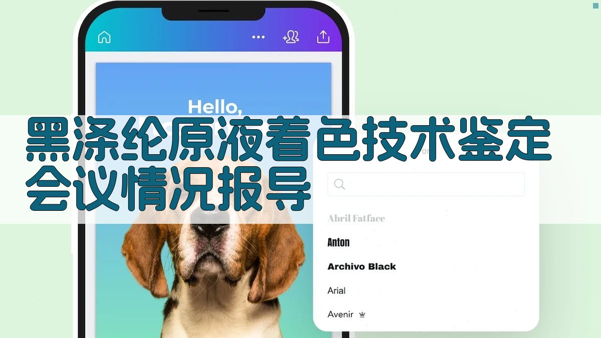 黑涤纶原液着色技术鉴定会议情况报导