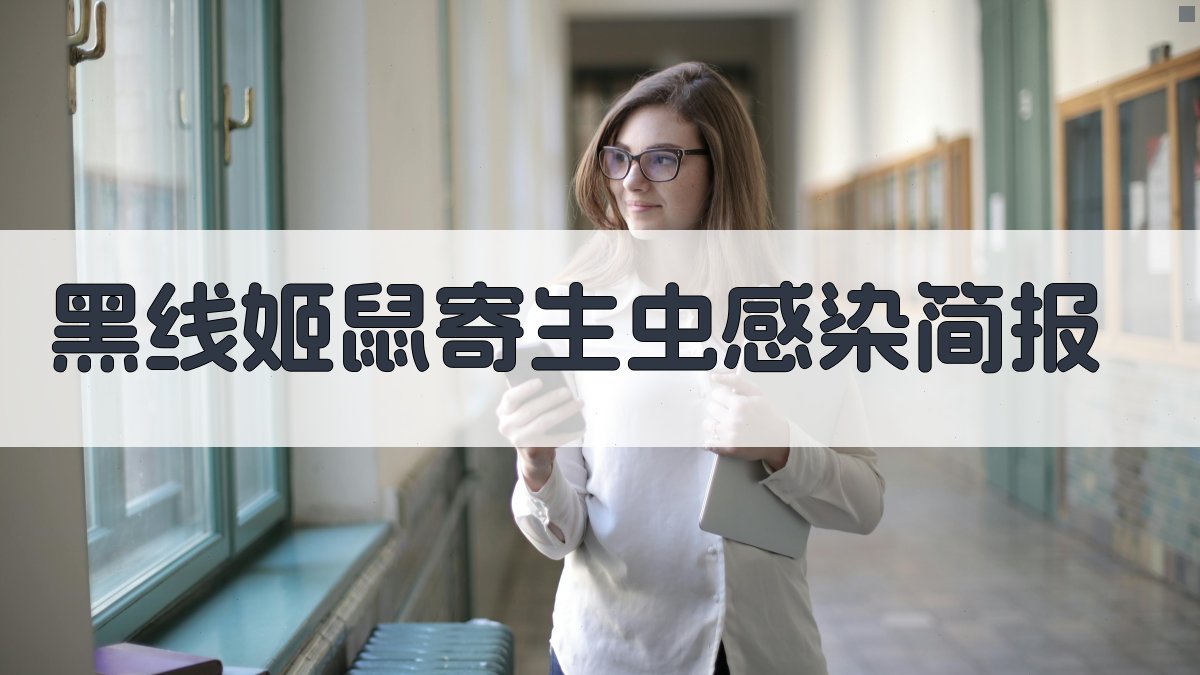 AI智能黑线姬鼠寄生虫感染简报生成器