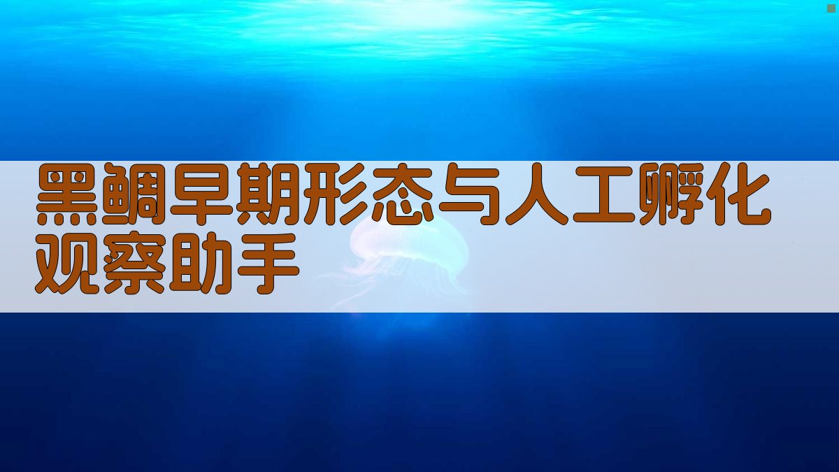 黑鲷早期形态与人工孵化观察助手