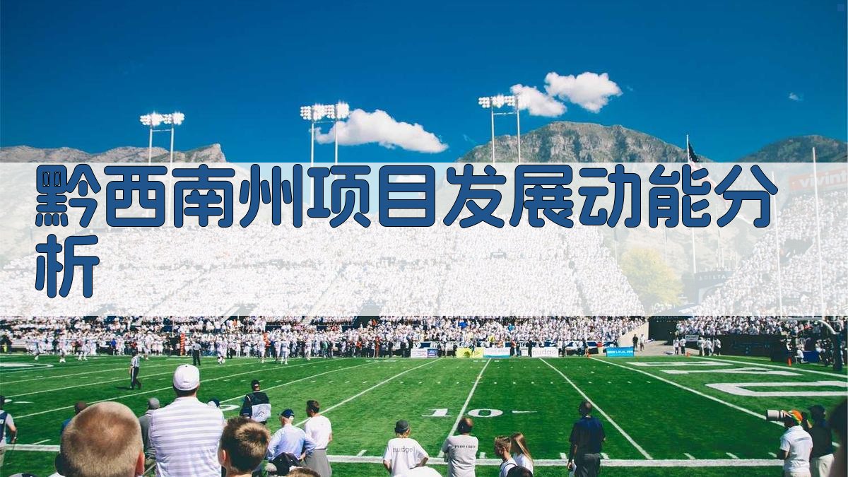 AI智能黔西南州项目发展动能分析报告生成器