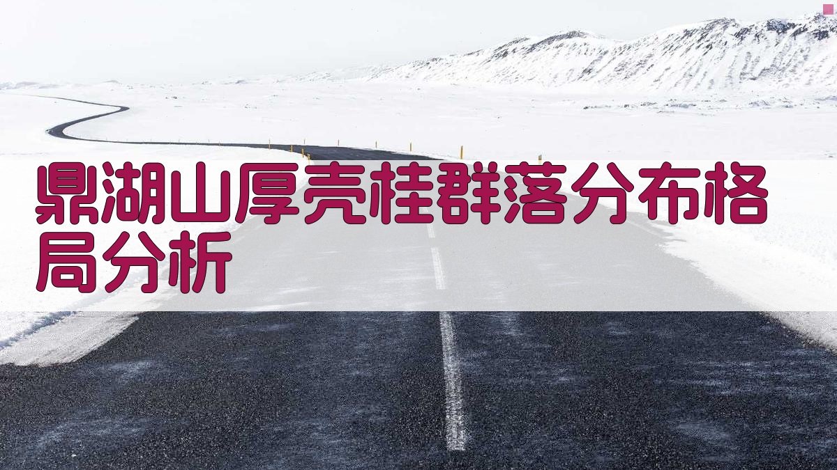 鼎湖山厚壳桂群落分布格局分析