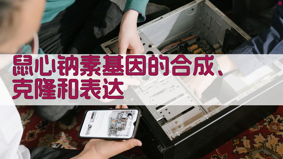 鼠心钠素基因合成克隆助手