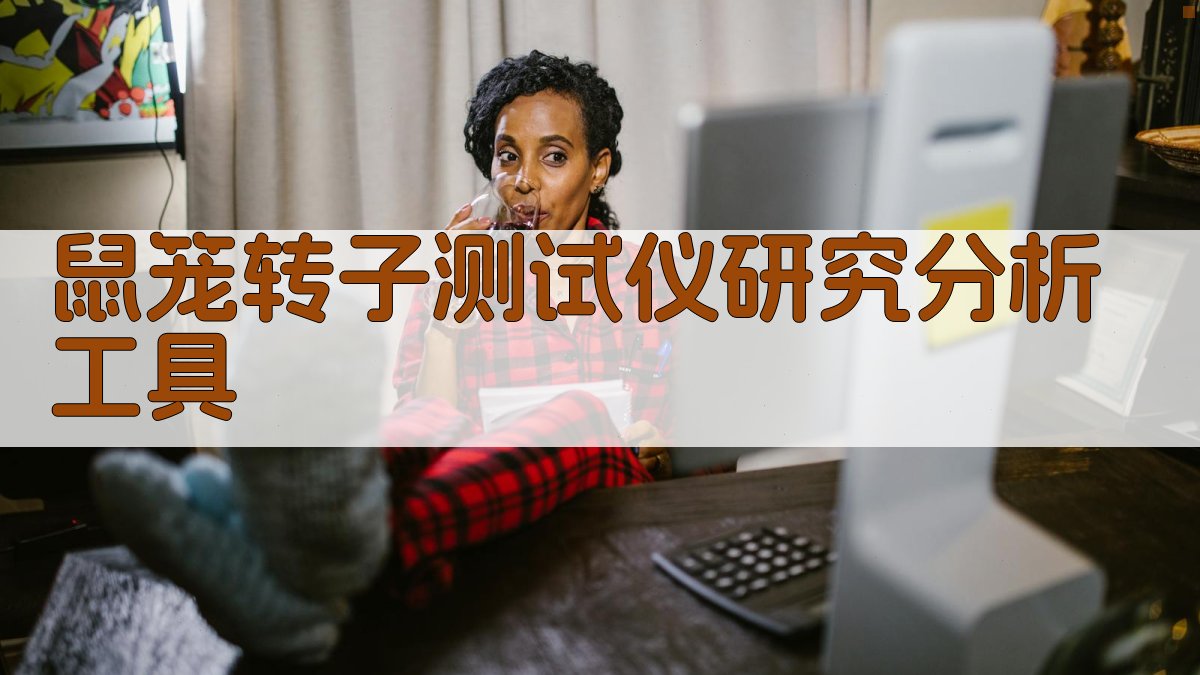 AI鼠笼转子测试仪研究分析工具