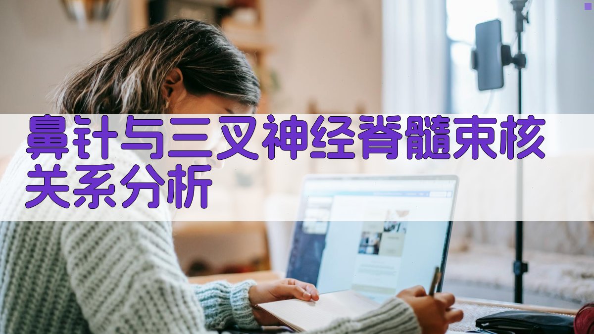 AI鼻针与三叉神经脊髓束核关系分析