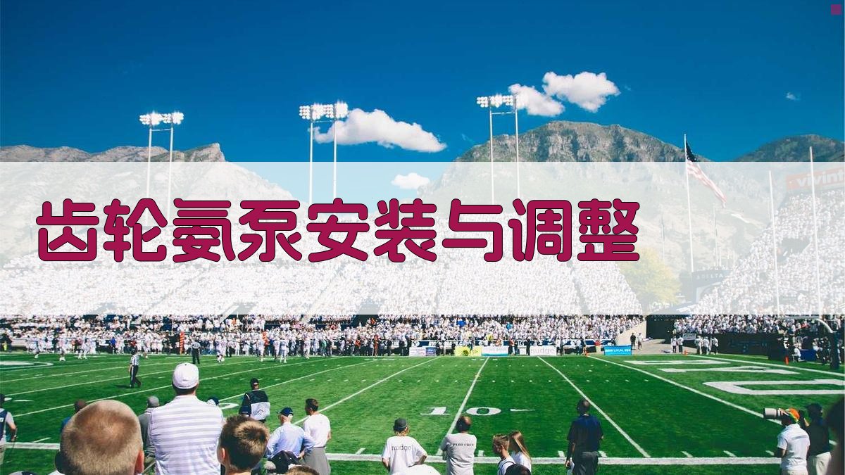 齿轮氨泵安装与调整